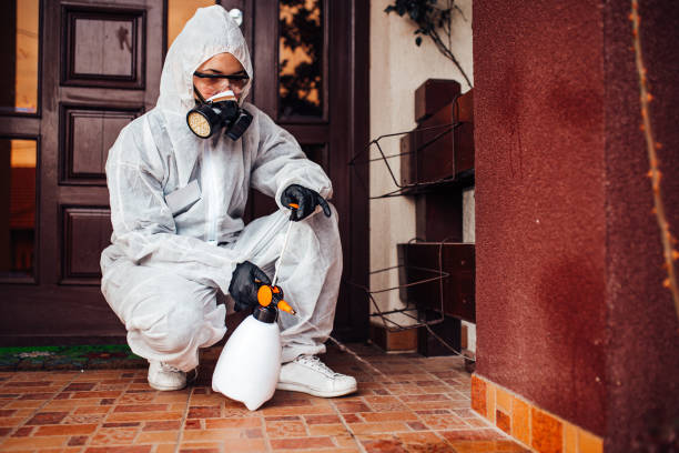 Reliable Cockroach Control contractor in Barboursville, WV by Nex Pest Control