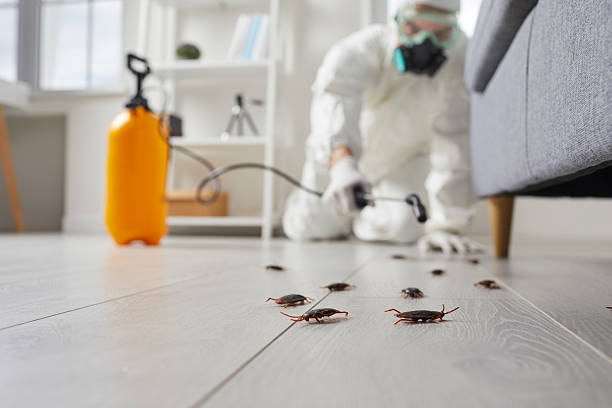 Trusted Rodent Control service in Barboursville, WV - Nex Pest Control