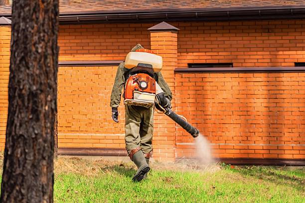Trusted Mosquito Control service in Barboursville, WV - Nex Pest Control